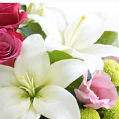 Interflora.co.uk : Online Bouquets to Make Your Loved Ones Feel Special