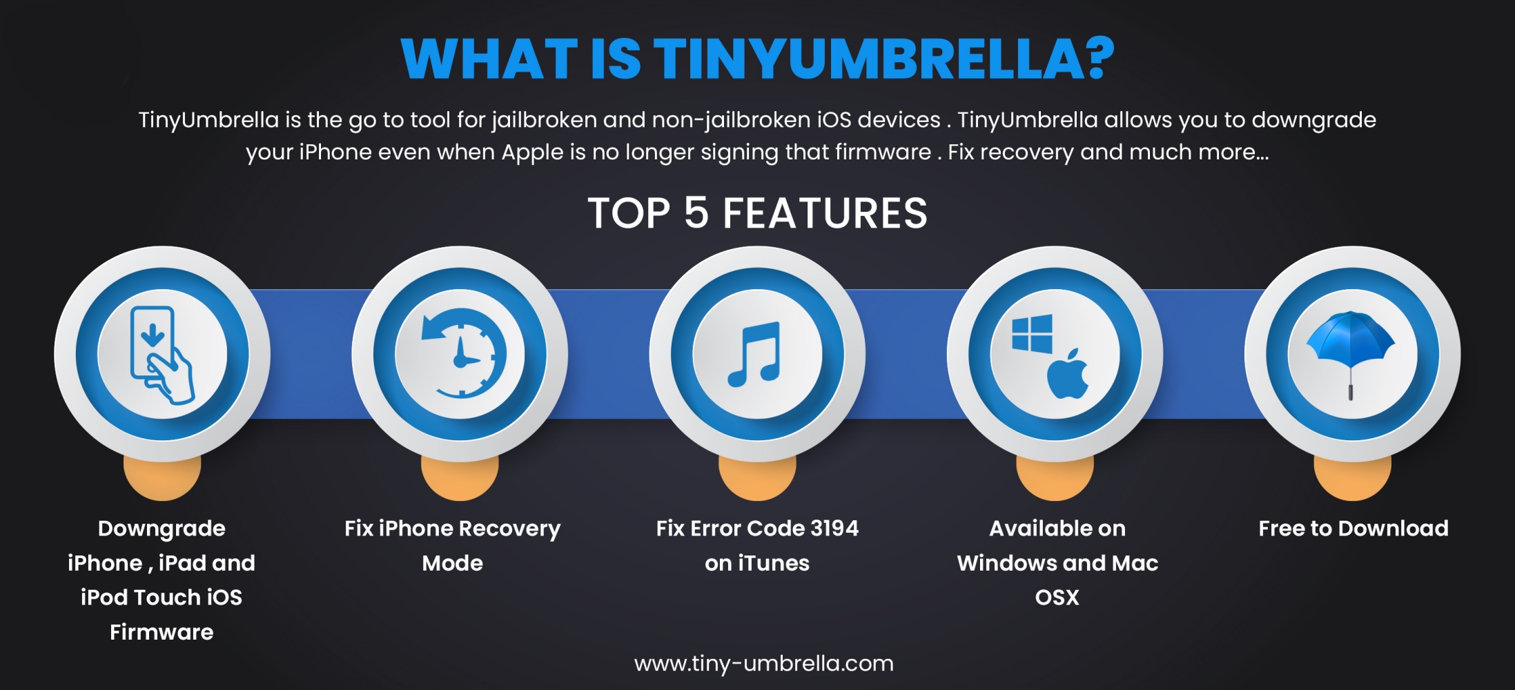 tinyumbrella recovery mode