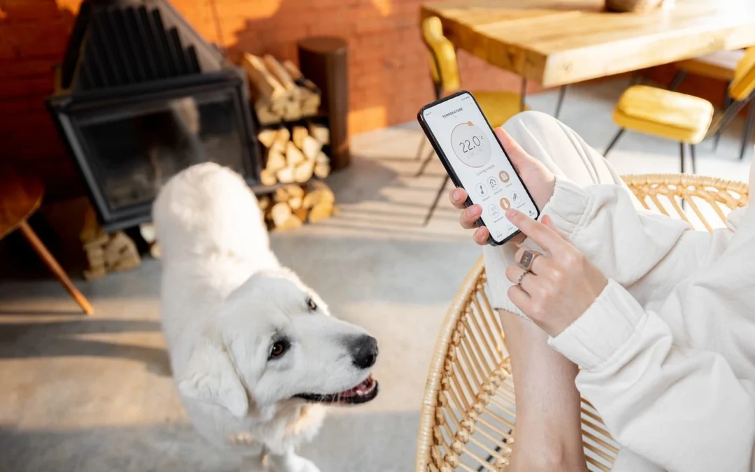 Best Pet Care Apps for Every Pet Owner