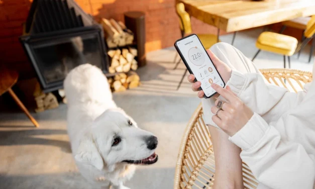 Best Pet Care Apps for Every Pet Owner